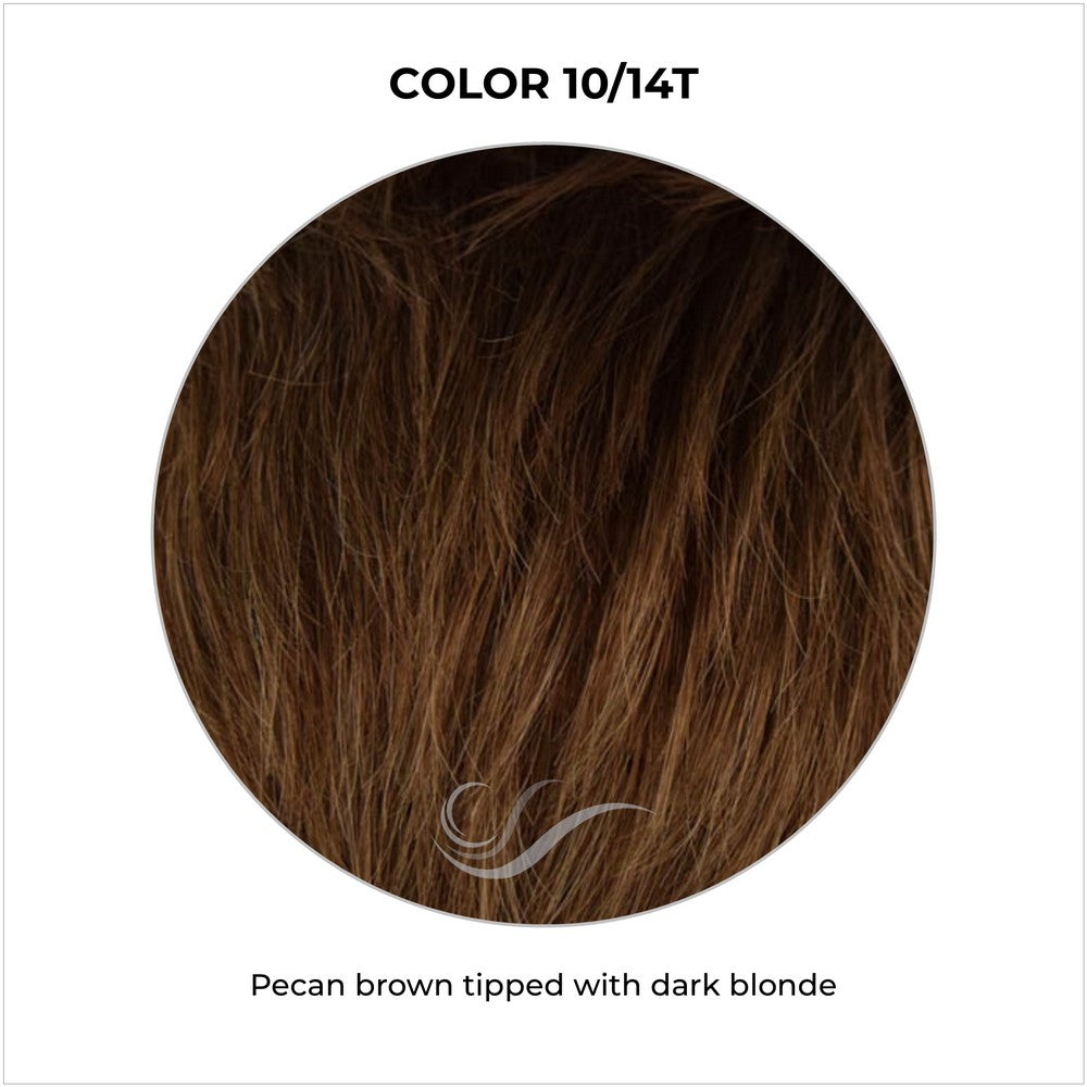 COLOR 10/14T-Pecan brown tipped with dark blonde