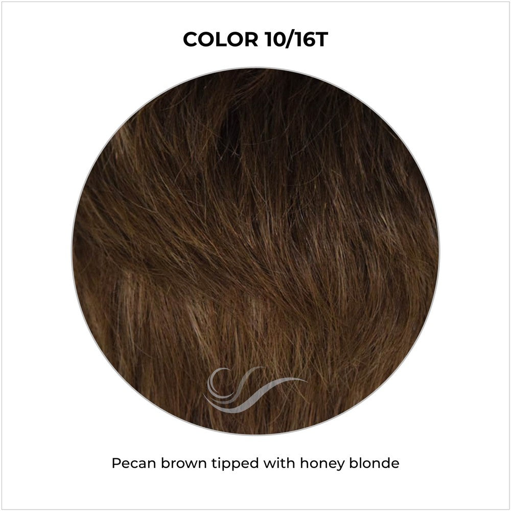 COLOR 10/16T-Pecan brown tipped with honey blonde
