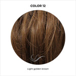 Load image into Gallery viewer, COLOR 12-Light golden brown
