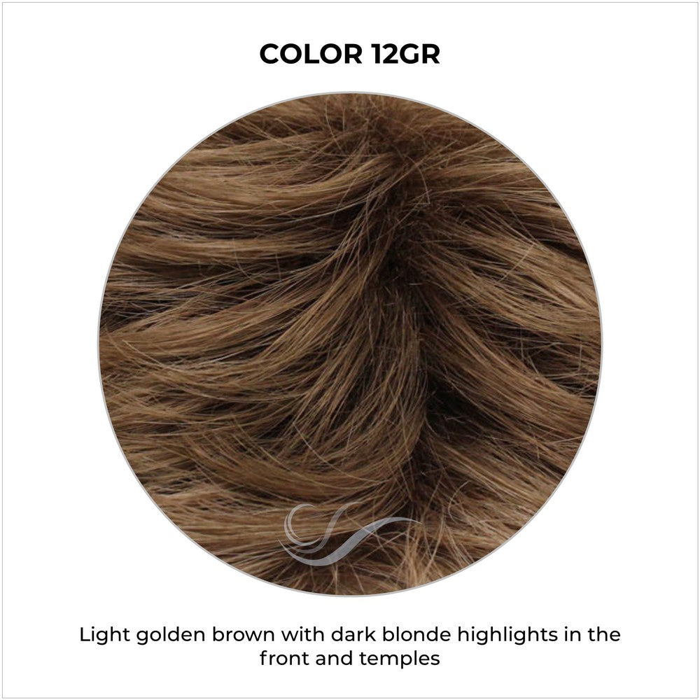 COLOR 12GR-Light golden brown with dark blonde highlights in the front and temples