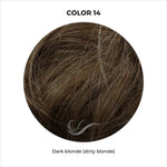 Load image into Gallery viewer, COLOR 14-Dark blonde (dirty blonde)
