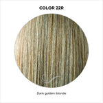 Load image into Gallery viewer, 22R-Dark golden blonde
