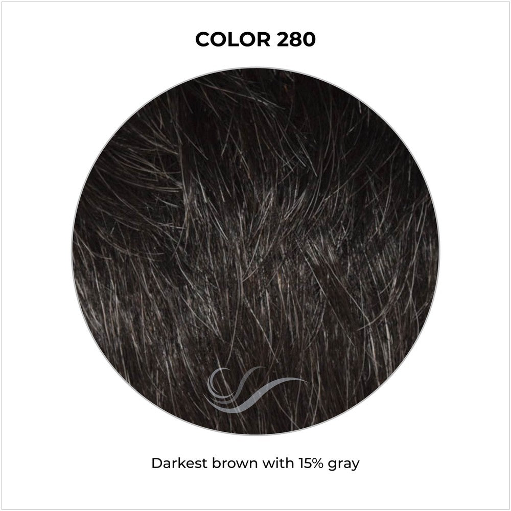 COLOR 280-Darkest brown with 15% gray