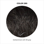 Load image into Gallery viewer, COLOR 280-Darkest brown with 15% gray

