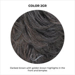 Load image into Gallery viewer, COLOR 2GR-Darkest brown with golden brown highlights in the front and temples

