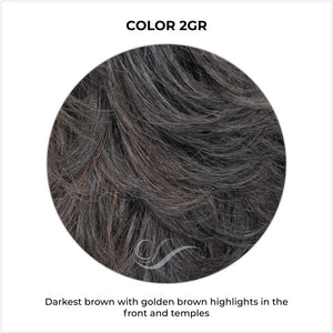 COLOR 2GR-Darkest brown with golden brown highlights in the front and temples