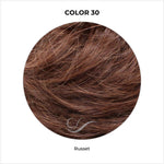 Load image into Gallery viewer, COLOR 30-Russet
