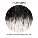 Load image into Gallery viewer, 56/60/R8-Lightest gray blend with medium brown roots
