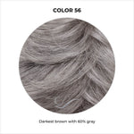Load image into Gallery viewer, COLOR 56-Darkest brown with 60% gray
