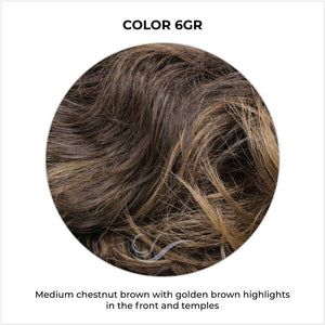 COLOR 6GR-Medium chestnut brown with golden brown highlights in the front and temples