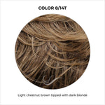Load image into Gallery viewer, COLOR 8/14T-Light chestnut brown tipped with dark blonde
