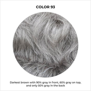 COLOR 93-Darkest brown with 90% gray in front, 60% gray on top, and only 50% gray in the back