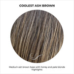 Load image into Gallery viewer, Coolest Ash Brown-Medium ash brown base with honey and pale blonde highlights
