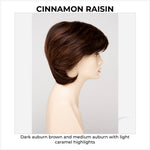 Load image into Gallery viewer, Coti By Envy in Cinnamon Raisin-Dark auburn brown and medium auburn with light caramel highlights
