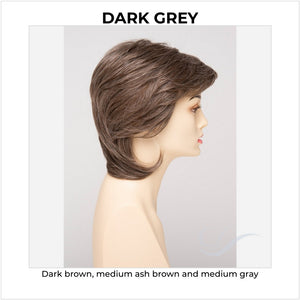 Coti By Envy in Dark Grey-Dark brown, medium ash brown and medium gray