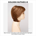 Load image into Gallery viewer, Coti By Envy in Golden Nutmeg-R-Warm brown and auburn with honey blonde highlights and medium brown roots

