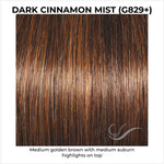 Load image into Gallery viewer, Dark Cinnamon Mist (G829+)-Medium golden brown with medium auburn highlights on top

