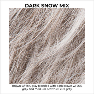 Dark Snow Mix-Brown w/ 75% gray blended with dark brown w/ 75% gray and medium brown w/ 25% gray
