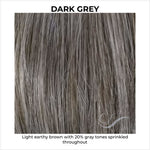 Load image into Gallery viewer, Dark Grey-Light earthy brown with 20% gray tones sprinkled throughout
