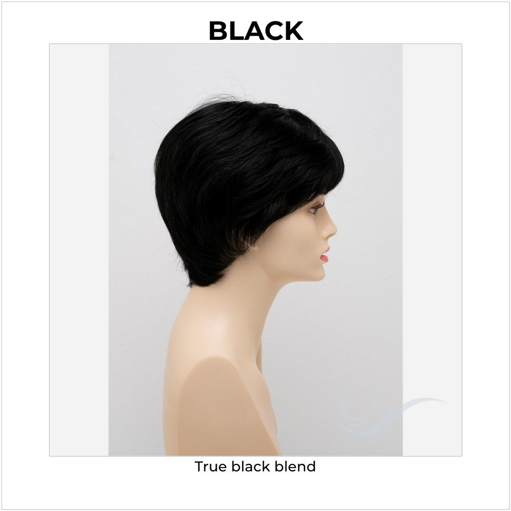 Destiny By Envy in Black-True black blend