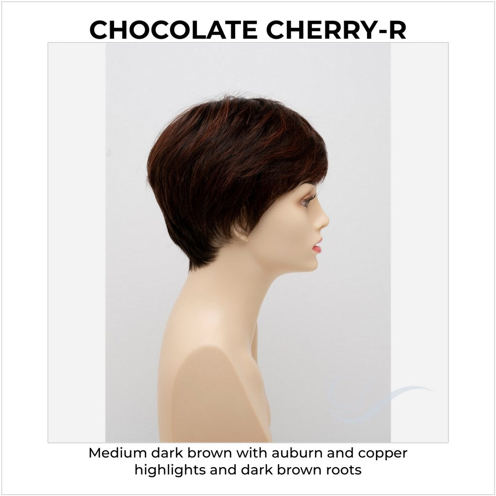 Destiny By Envy in Chocolate Cherry-R-Medium dark brown with auburn and copper highlights and dark brown roots