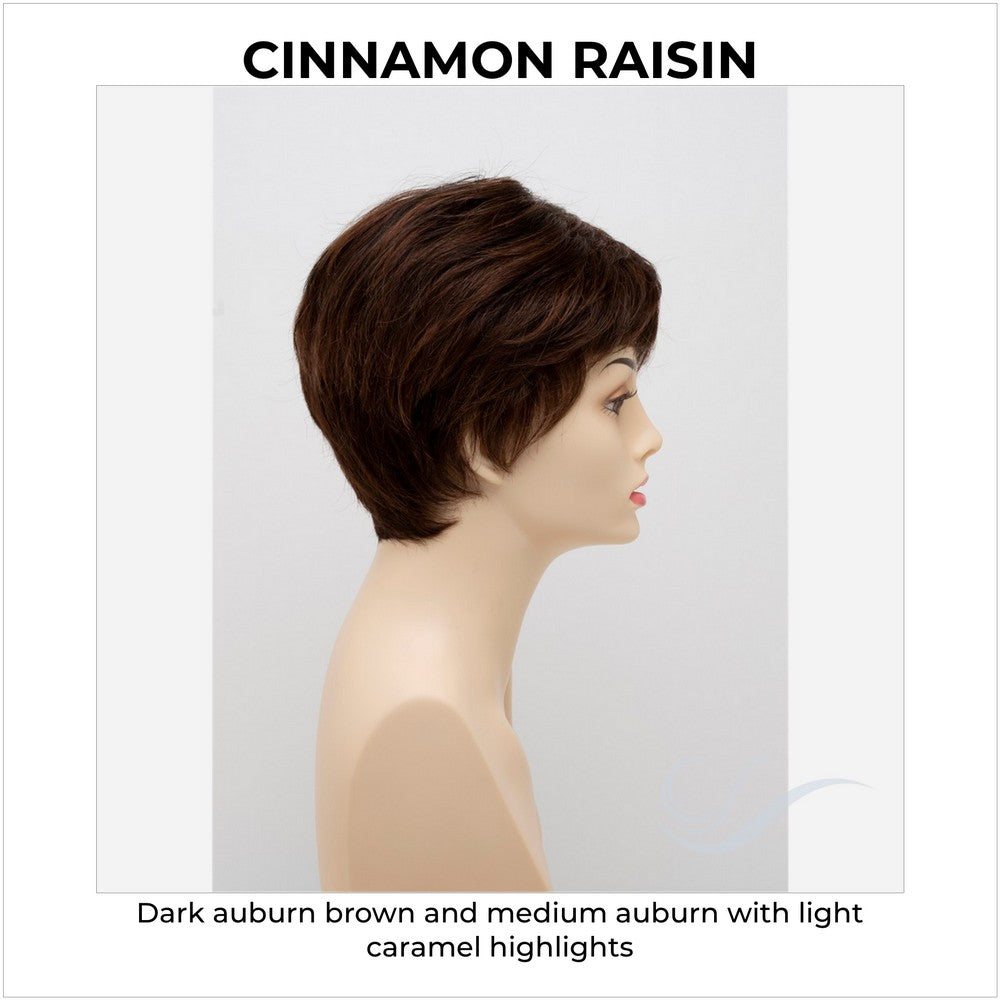 Destiny By Envy in Cinnamon Raisin-Dark auburn brown and medium auburn with light caramel highlights
