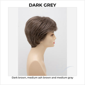 Destiny By Envy in Dark Grey-Dark brown, medium ash brown and medium gray