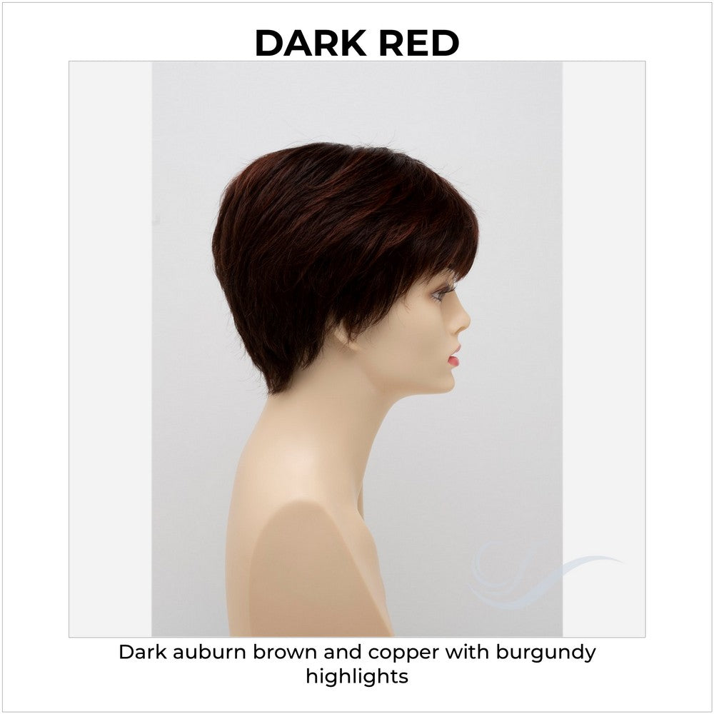 Destiny By Envy in Dark Red-Dark auburn brown and copper with burgundy highlights