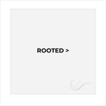 Load image into Gallery viewer, Divider for Rooted Colors
