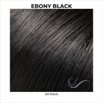 Load image into Gallery viewer, Ebony Black-Jet black
