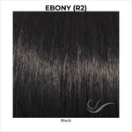 Load image into Gallery viewer, Ebony (R2)-Black
