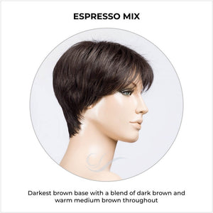 Elan by Ellen Wille in Espresso Mix-Darkest brown base with a blend of dark brown and warm medium brown throughout 