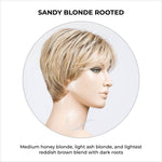 Load image into Gallery viewer, Elan by Ellen Wille in Sandy Blonde Rooted-Medium honey blonde, light ash blonde, and lightest reddish brown blend with dark roots
