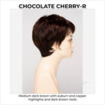 Load image into Gallery viewer, Fiona By Envy in Chocolate Cherry-R-Medium dark brown with auburn and copper highlights and dark brown roots
