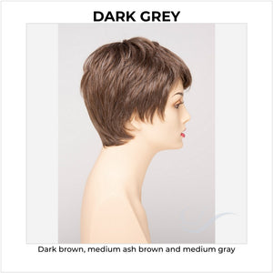 Fiona By Envy in Dark Grey-Dark brown, medium ash brown and medium gray