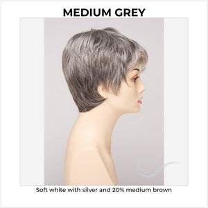 Fiona By Envy in Medium Grey-Soft white with silver and 20% medium brown