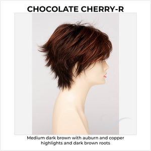 Flame By Envy in Chocolate Cherry-R-Medium dark brown with auburn and copper highlights and dark brown roots