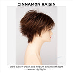 Load image into Gallery viewer, Flame By Envy in Cinnamon Raisin-Dark auburn brown and medium auburn with light caramel highlights
