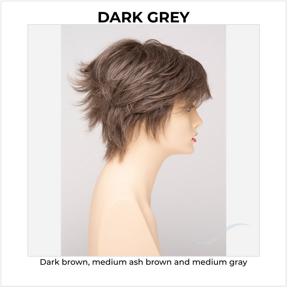Flame By Envy in Dark Grey-Dark brown, medium ash brown and medium gray