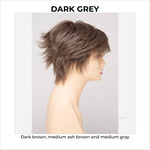 Load image into Gallery viewer, Flame By Envy in Dark Grey-Dark brown, medium ash brown and medium gray
