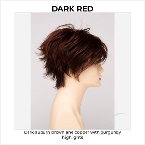 Flame By Envy in Dark Red-Dark auburn brown and copper with burgundy highlights