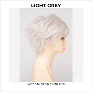Flame By Envy in Light Grey-Soft white blended with silver