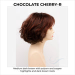 Load image into Gallery viewer, Gia by Envy in Chocolate Cherry-R-Medium dark brown with auburn and copper highlights and dark brown roots
