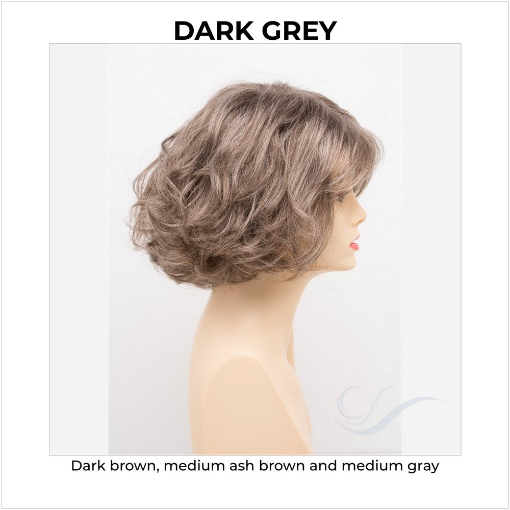 Gia by Envy in Dark Grey-Dark brown, medium ash brown and medium gray