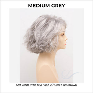 Gia by Envy in Medium Grey-Soft white with silver and 20% medium brown