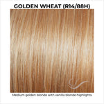 Load image into Gallery viewer, Golden Wheat (R14/88H)-Medium golden blonde with vanilla blonde highlights
