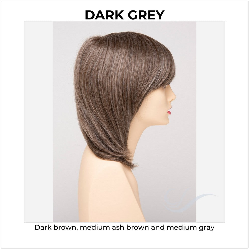 Grace By Envy in Dark Grey-Dark brown, medium ash brown and medium gray