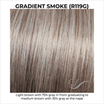 Load image into Gallery viewer, Gradient Smoke (R119G)-Light brown with 75% gray in front graduating to medium brown with 35% gray at the nape
