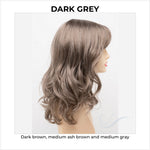 Load image into Gallery viewer, Harmony by Envy in Dark Grey-Dark brown, medium ash brown and medium gray
