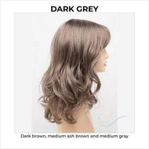 Harmony by Envy in Dark Grey-Dark brown, medium ash brown and medium gray